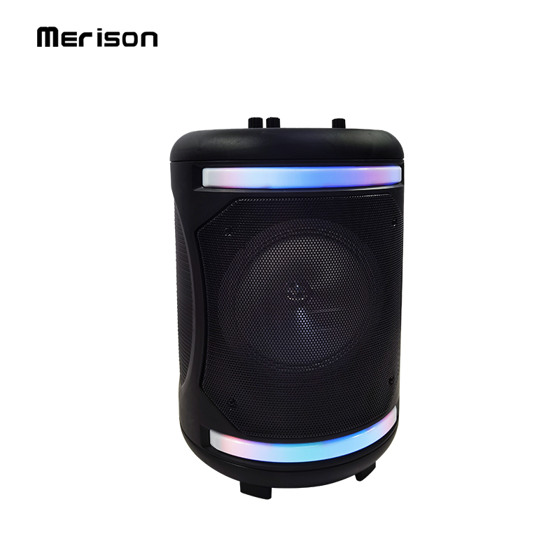6.5 inch custom party bluetooth speaker with led light AUX in/TF/FM MW-565B